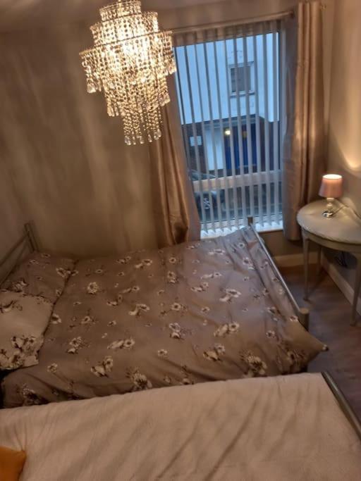 Modern 2-Bedroom City Apartment With Free Parking Belfast Extérieur photo